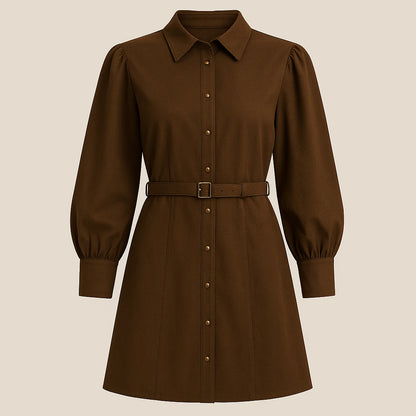 Isolated product image of Brown Long Sleeve Puffed Mini Dress Workwear Summer, front view